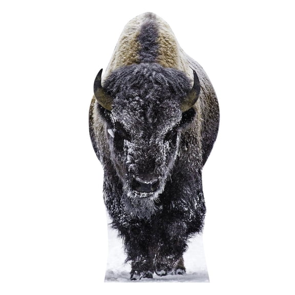 Cardboard People Yellowstone Bison Life Size Cardboard Cutout Standup - Made in USA