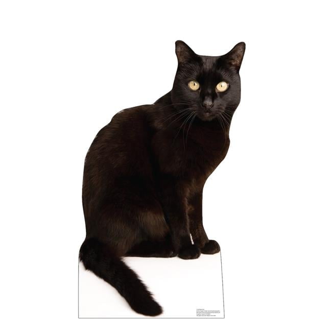 Life-Size Black Cat Cardboard Cutout with Easel Stand