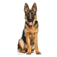 thumbnail image 1 of Cardboard People German Shepherd Life Size Cardboard Cutout Standup - Made in USA, 1 of 1