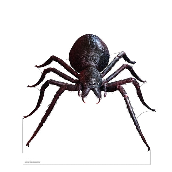 Advanced Graphics 5214 32 x 32 in. Giant Fantasy Spider Life-Size Cardboard Cutout