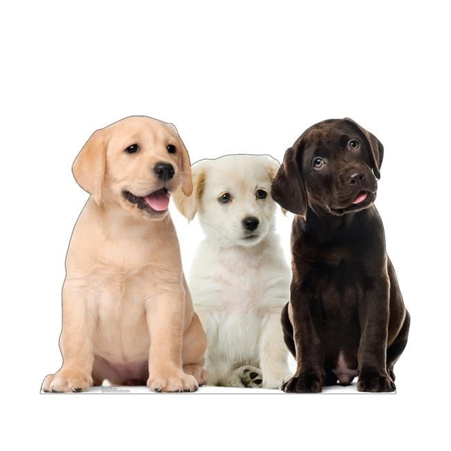 Life-Size Puppy Group Cardboard Cutout Standee