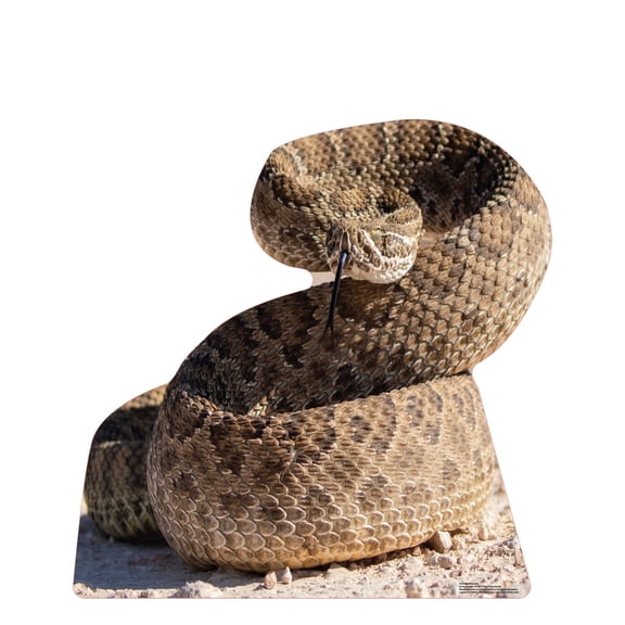 Cardboard People Rattlesnake Life Size Cardboard Cutout Standup - Made in USA