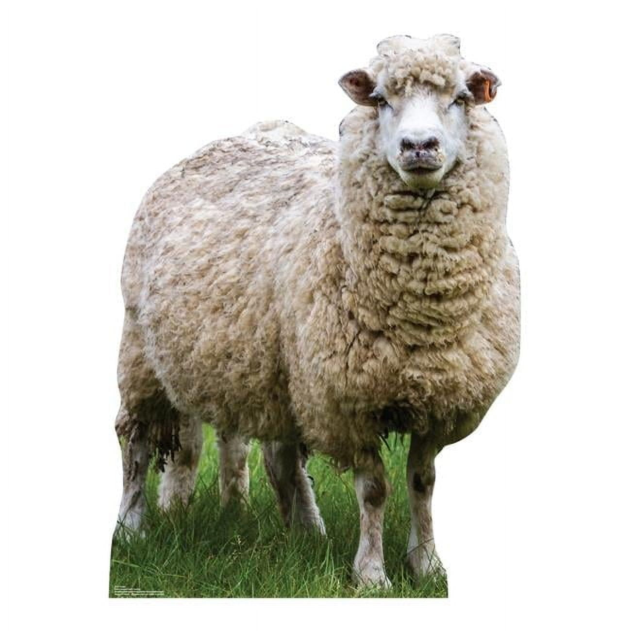 Life-Size Wooly White Sheep Cardboard Cutout Standee