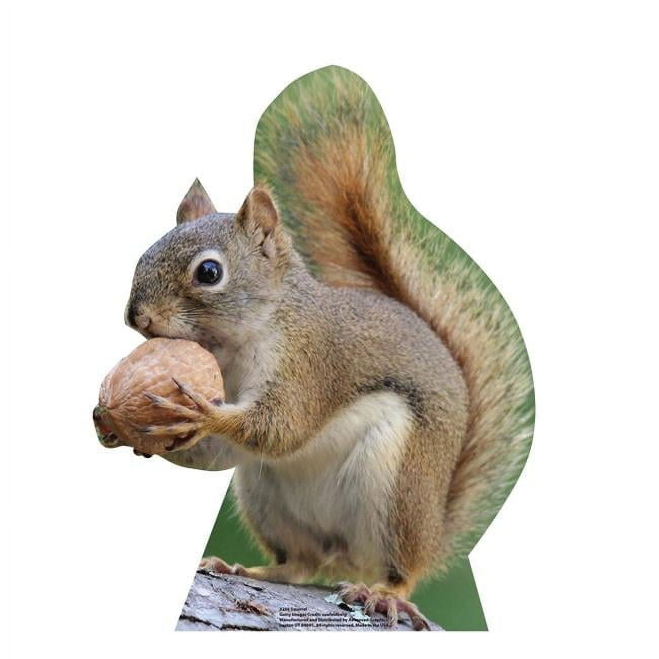 Life-Size Brown Squirrel Cardboard Cutout Standee