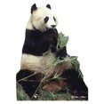 thumbnail image 1 of Advanced Graphics 734 Panda Bear- 62" x 47" Cardboard Standup, 1 of 2