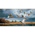 thumbnail image 1 of Advanced Graphics CB02903958 8 x 4 in. Ducks Mega Mural - Banner, 1 of 2
