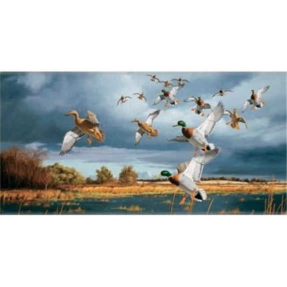 Advanced Graphics CB02903958 8 x 4 in. Ducks Mega Mural - Banner