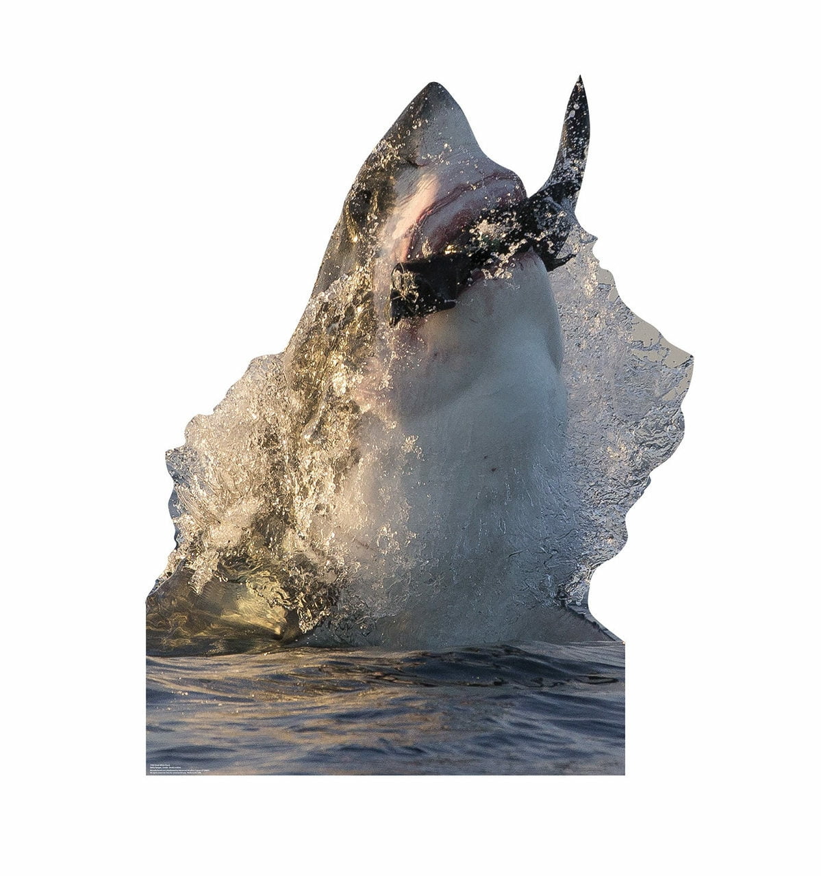 Life-Size Great White Shark Cardboard Standup