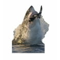 thumbnail image 1 of Great White Shark, 1 of 2