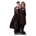thumbnail image 1 of Harry & Hermione (Harry Potter), 1 of 5