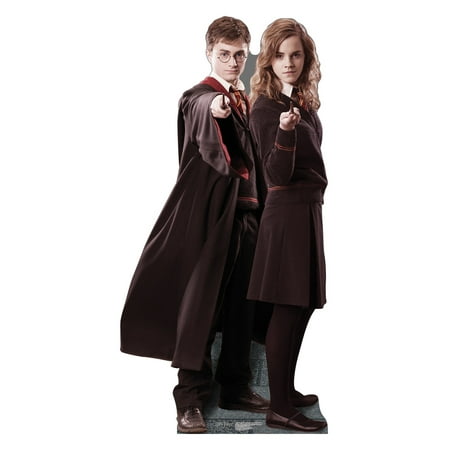 Harry & Hermione (Harry Potter)