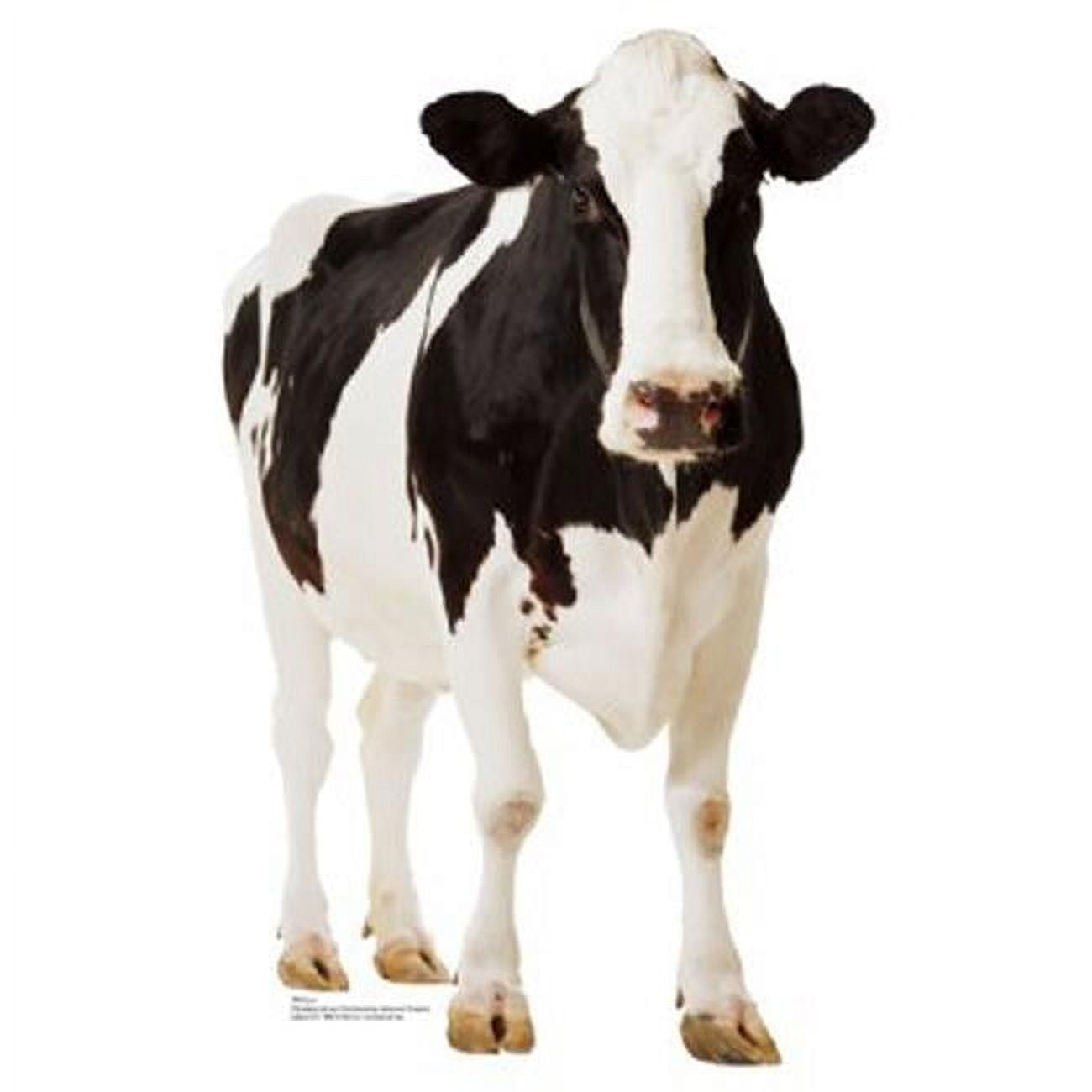 Life-Size Black and White Cow Cardboard Stand-Up