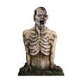 thumbnail image 1 of Advanced Graphics Lifesize Wall Decor Cardboard Standup Poster Breaking Ground, 1 of 4