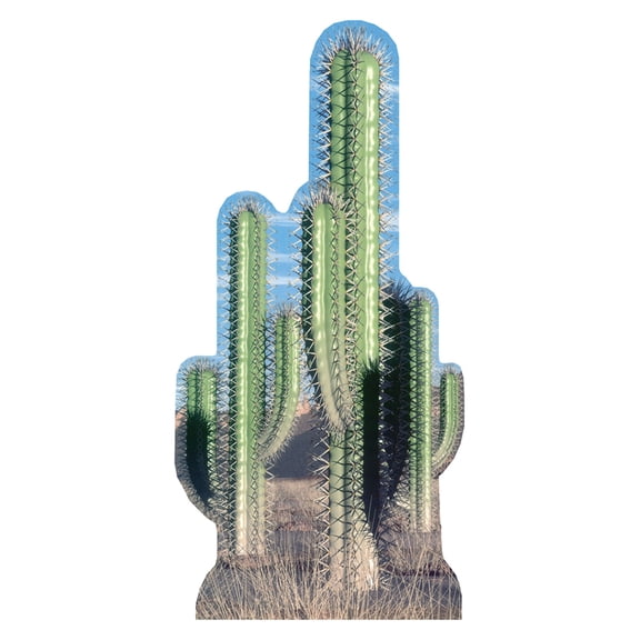 Cactus - Pair