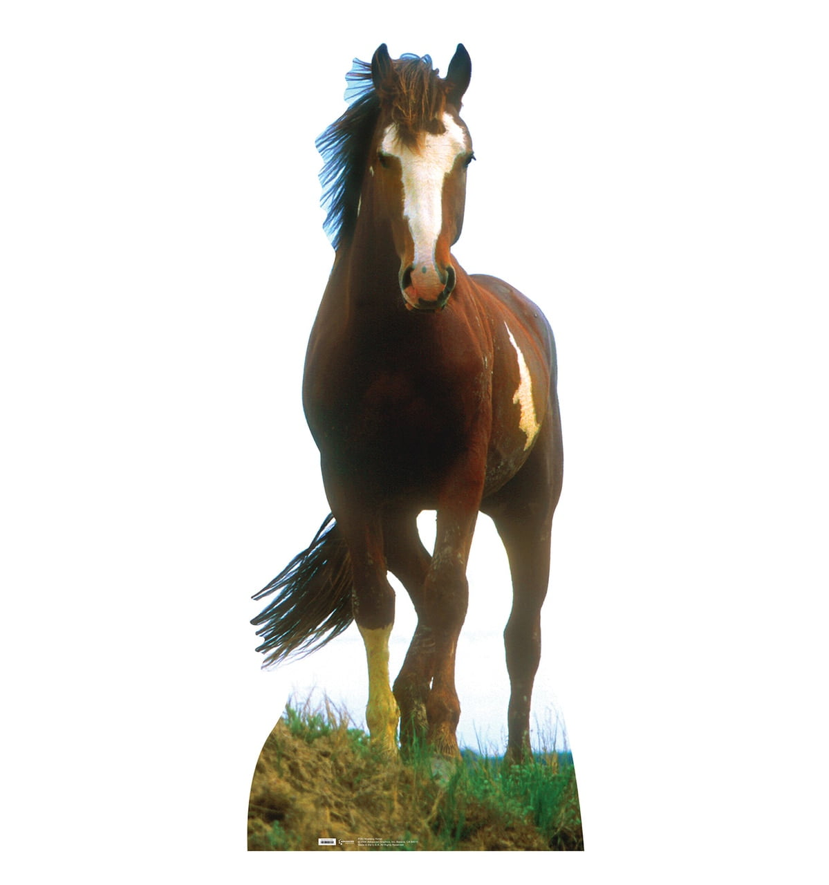 Life-Size Brown and White Mustang Horse Cardboard Standup