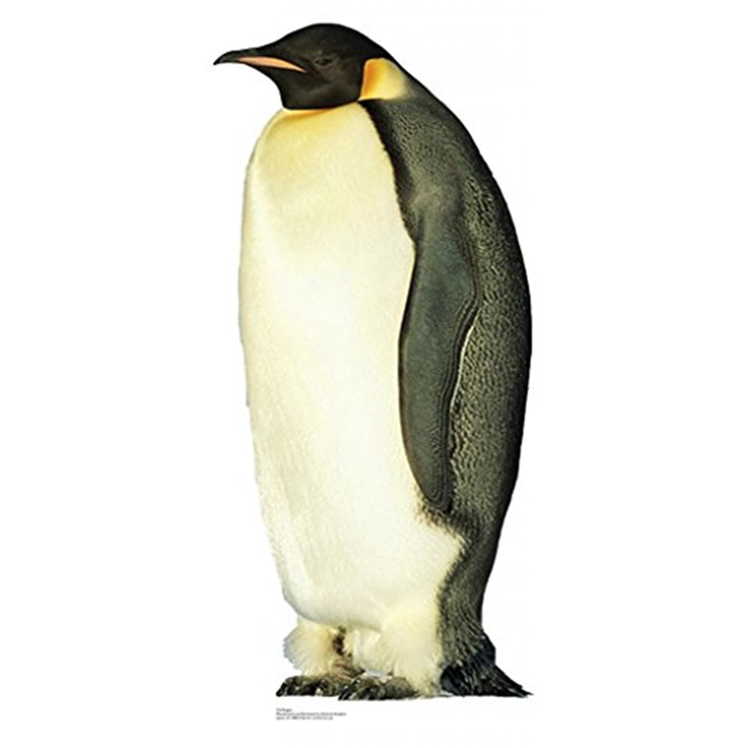Life-Size Penguin Cardboard Standup with Easel