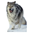 thumbnail image 1 of Wolf, 1 of 5