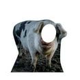 thumbnail image 1 of Advanced Graphics Pig Cardboard Cutout Life Size Stand-In, 1 of 2
