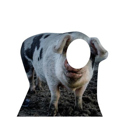 Advanced Graphics Pig Cardboard Cutout Life Size Stand-In