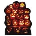 thumbnail image 1 of Pumpkin Group, 1 of 1