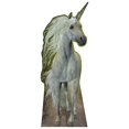 thumbnail image 1 of Unicorn, 1 of 5