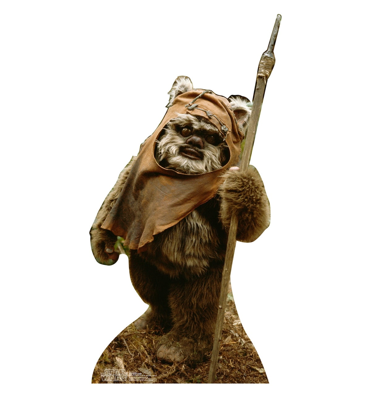 Advanced Graphics Cardboard Stand-Up, Wicket Star Wars Character, 50 x ...