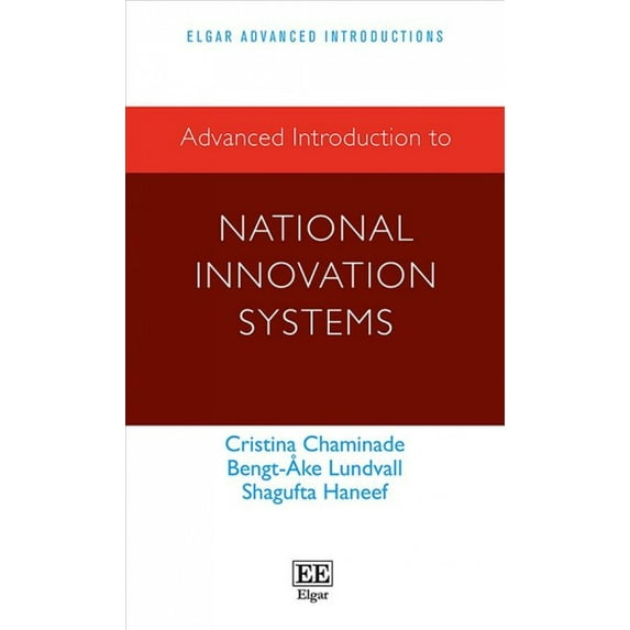Advanced Introduction to National Innovation Systems