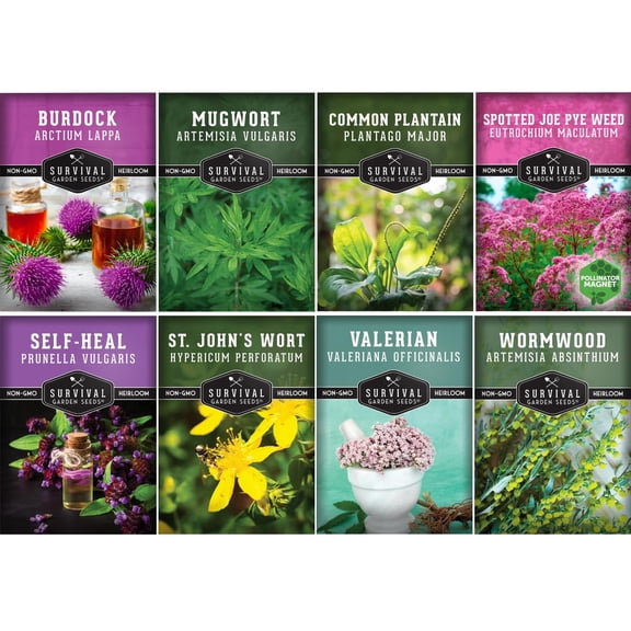 Advanced Medicinal Herb Seeds Bundle - 8 Full Sun Perennial Herbs