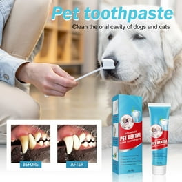 Remove Tartar Can You Clean Dogs Teeth With Human Toothpaste Arm