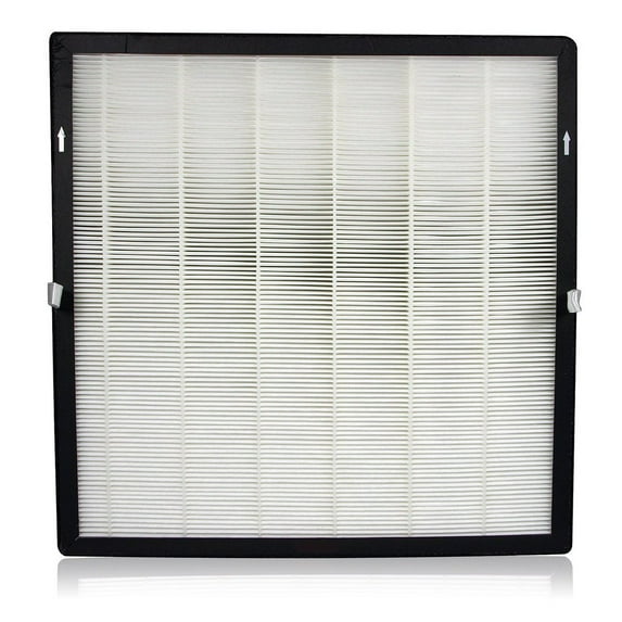 Advanced Pure Air MERV 13 port Ultra HEPA Carbon Filter for APA-90900, Activated Carbon 1.75 lb
