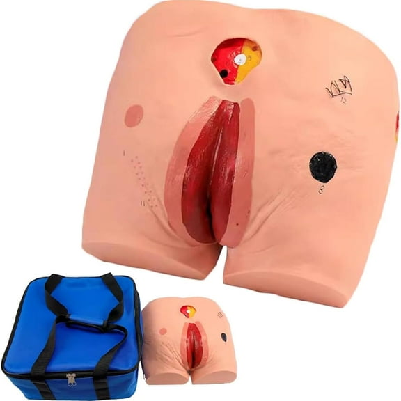 Advanced Stage Decubitus Sore Training Model, 4 Stage Decubitus Ulcer Care Model, Pressure Ulcers Nursing Model with Realistic Image and Skin Feel Real, for Nursing Teaching