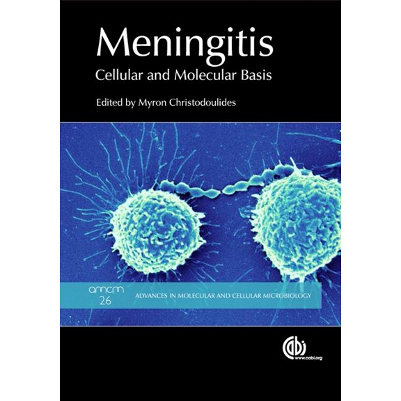 Meningitis: Cellular and Molecular Basis, (Hardcover)