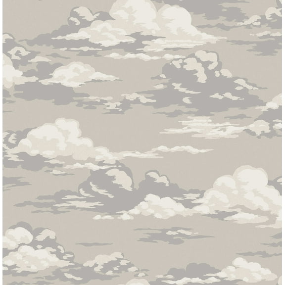 Advantage Cumulus Neutral Clouds Wallpaper