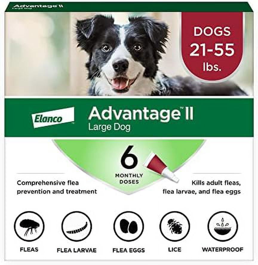 Advantage II Large Dog Flea Treatment & Prevention Dogs 2155 lbs. 6Month