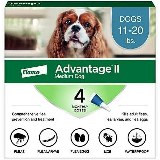 Advantage II Medium Dog Vet Recommended Flea Treatment Prevention Dogs 11 20 lbs. 4 Month Supply 4 Pack Walmart Business Supplies