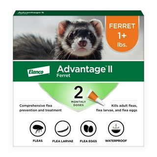 Advantage II Dog Flea and Tick in Dogs Walmart
