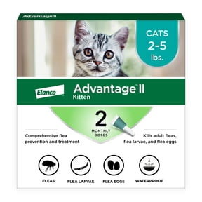 View of Natural Flea & Tick Collar for Cats, 12-Month Prevention, Safe ...