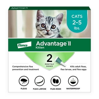 Cat Flea and Tick Spot Treatment in Cat Flea and Tick Walmart