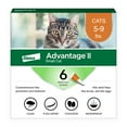 thumbnail image 1 of Advantage II Vet-Recommended Flea Prevention for Small Cats 5-9 lbs, 6-Monthly Treatments, 1 of 8