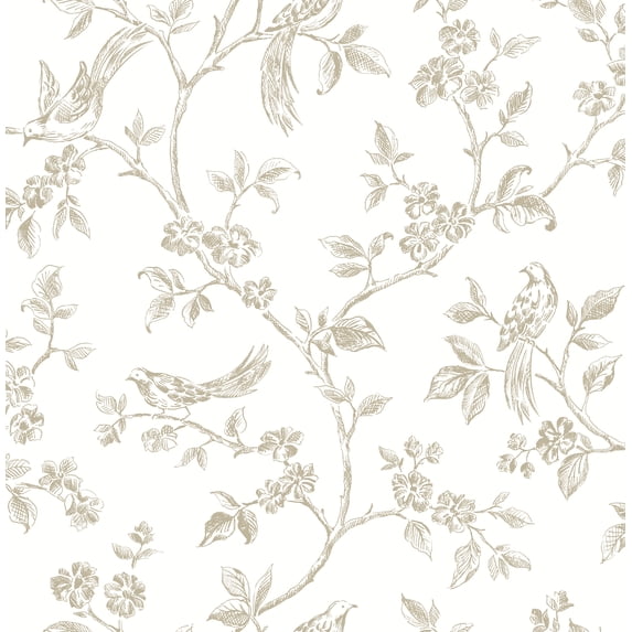 Advantage Ray Taupe Bird Trail Unpasted Non Woven Wallpaper, 20.5-in by 33-ft, 56.4 sq. ft.