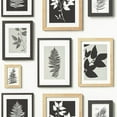 thumbnail image 1 of Advantage Rumer White Gallery Wall Wallpaper, 1 of 3