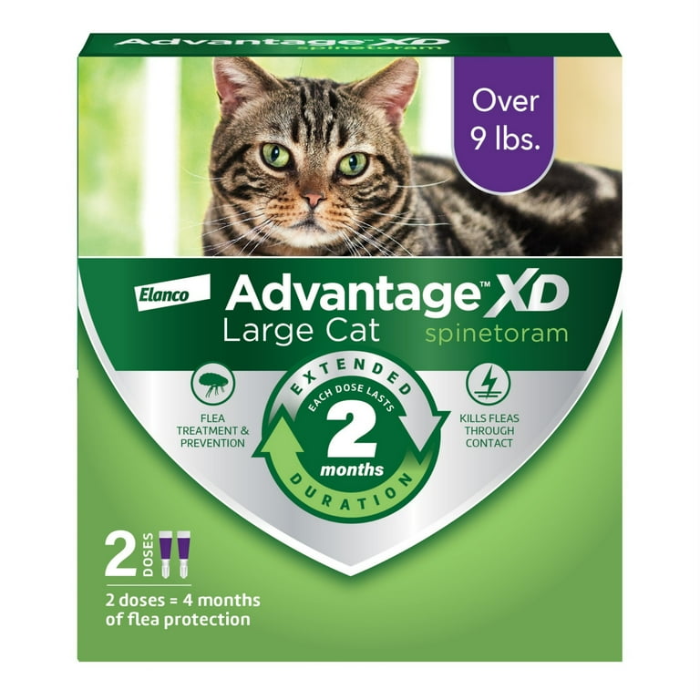 Advantage XD Large Cat 2 Month Flea Prevention For Cats over 9lbs 2 Doses 4 Months