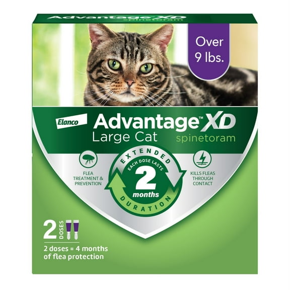 Advantage XD Large Cat 2-Month Flea Prevention For Cats over 9lbs, 2 Doses (4-Months)