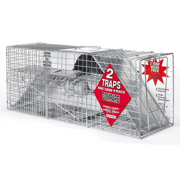 Advantek Outdoor 2-Door Live Animal Steel Trap, 2 Count