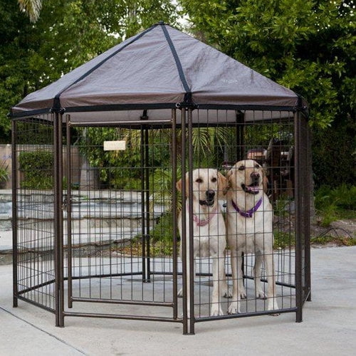 Advantek The Original Pet Gazebo - Medium - Walmart.com