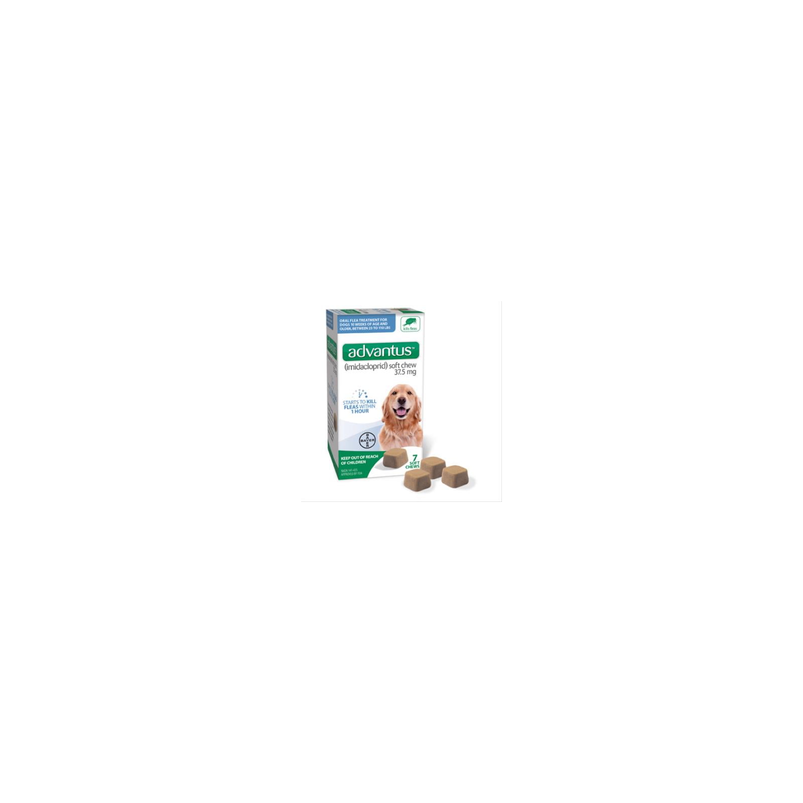 Advantus imidacloprid hot sale