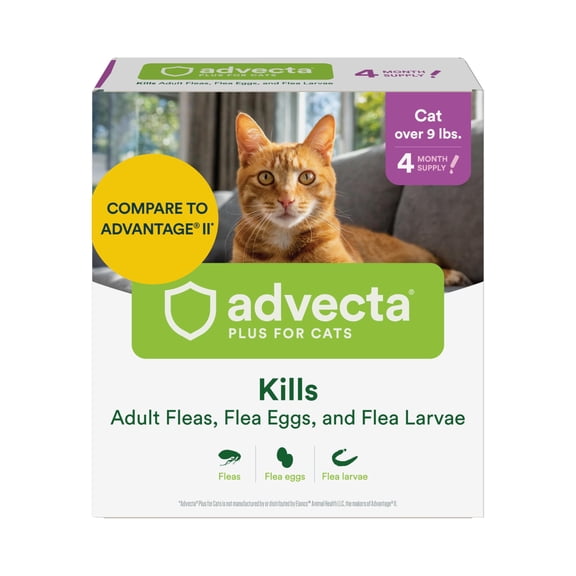 Advecta Plus Topical Large Cat Flea Treatment for Cats and Kittens, Flea Prevention and Control, Fast-Acting Waterproof Drops, 4-Month Supply