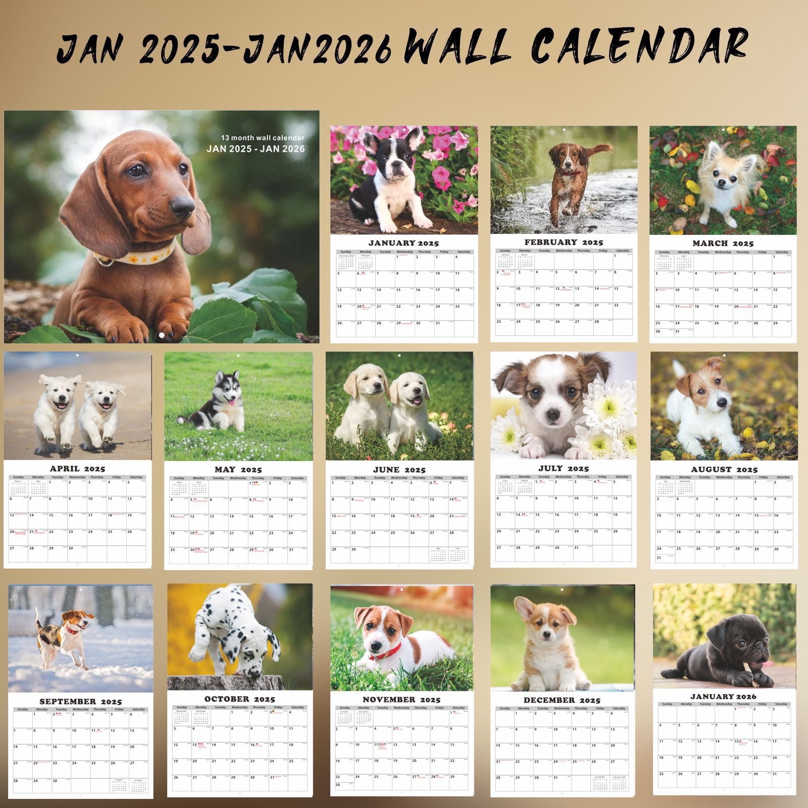 Advent Calendar 2025 Dog Calendar 2025 Planner Advent Calendar 2025