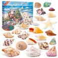 Advent Calendar 2024 Seashell, 24 Days Christmas Countdown Surprises