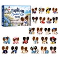 thumbnail image 1 of Advent Calendar with 24 Papillon Coastal Life Acrylic Ornaments, Christmas Tree Hanging Decor Set, 1 of 5